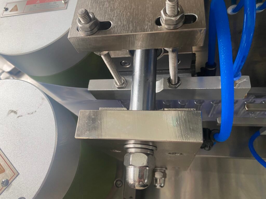 Blister bottle cavity sealed by twin plastic films